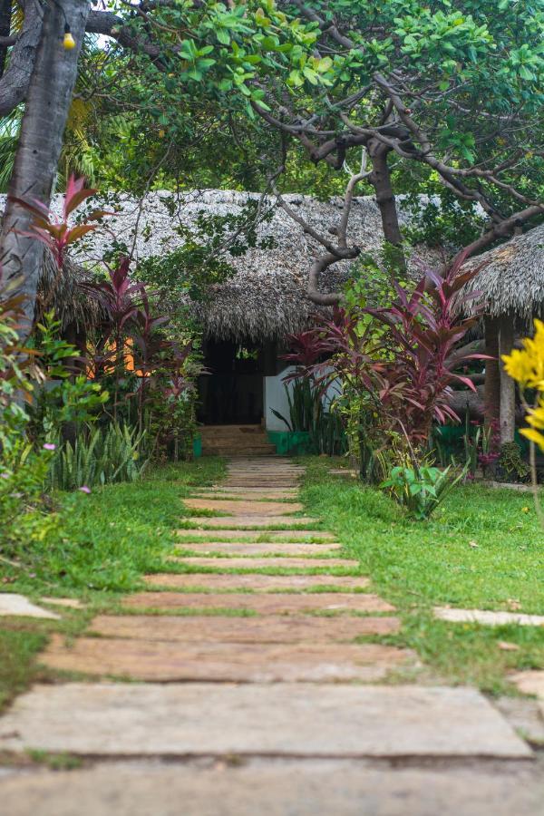 Hotel Ciamat Camp Santo Amaro do Maranhao Zewnętrze zdjęcie