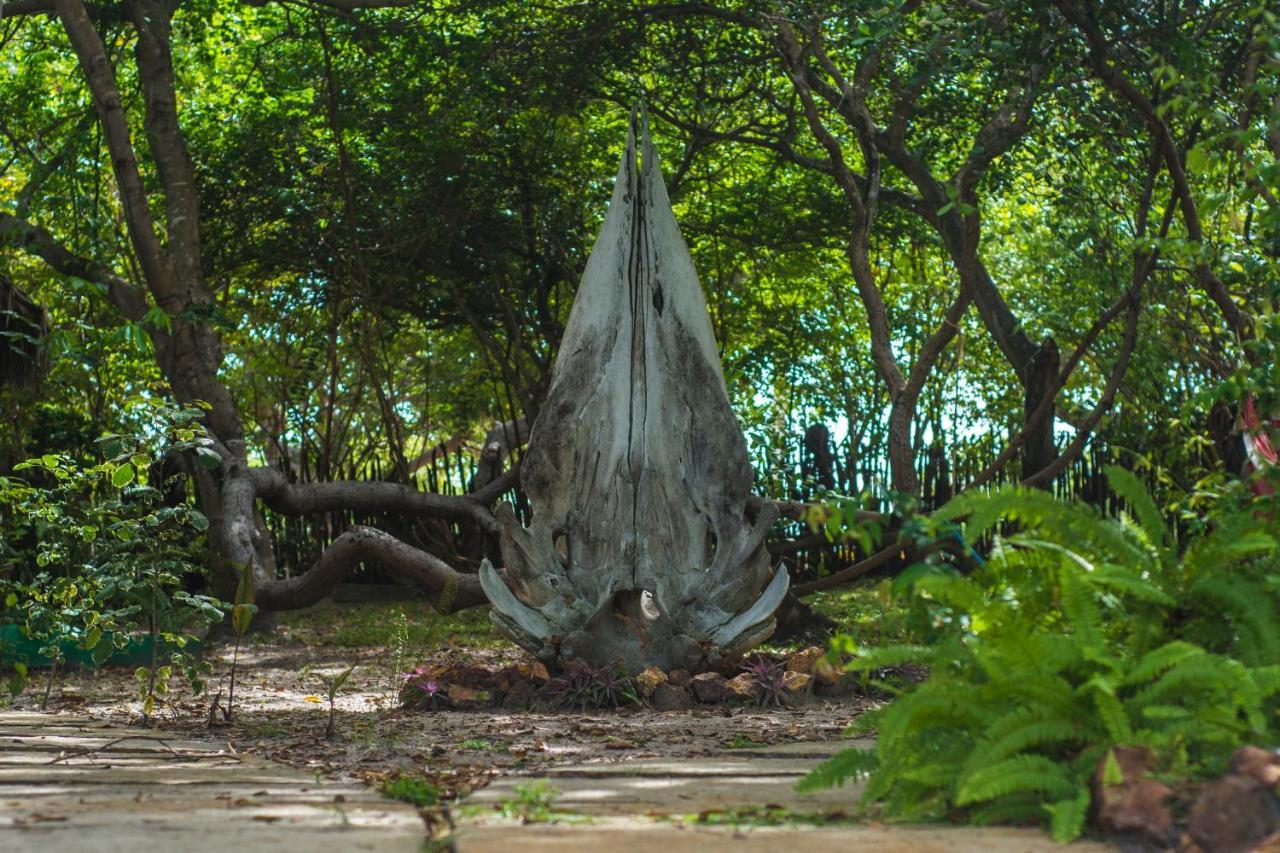 Hotel Ciamat Camp Santo Amaro do Maranhao Zewnętrze zdjęcie