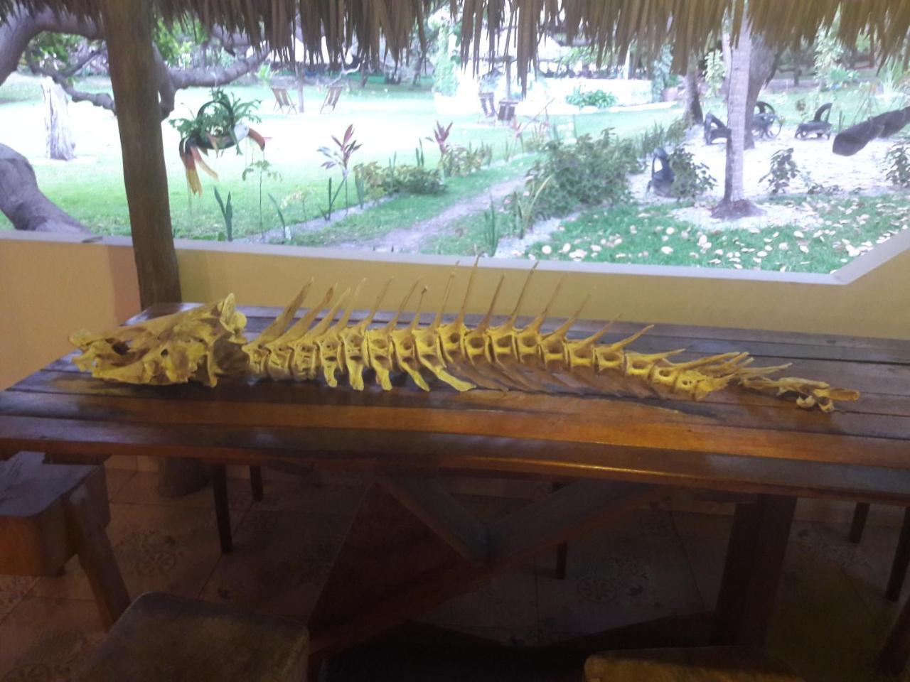 Hotel Ciamat Camp Santo Amaro do Maranhao Zewnętrze zdjęcie